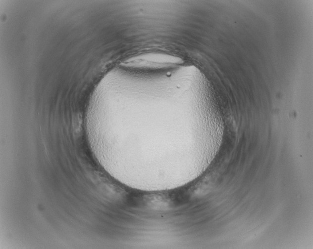 X0000074960660200609291914