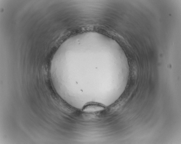 X0000074960661200609291914