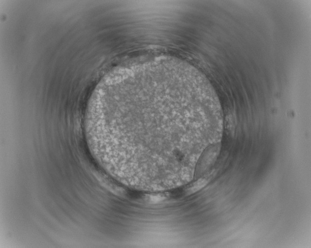 X0000074960662200609291914