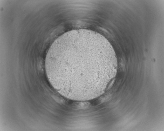 X0000074960663200609291914