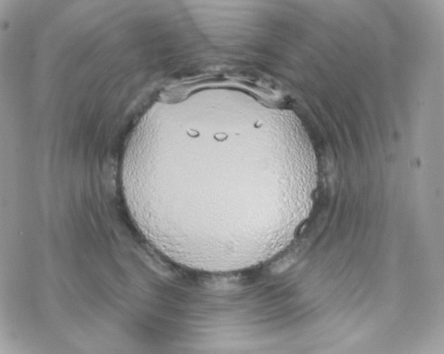 X0000074960664200609291914