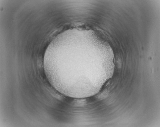 X0000074960665200609291914