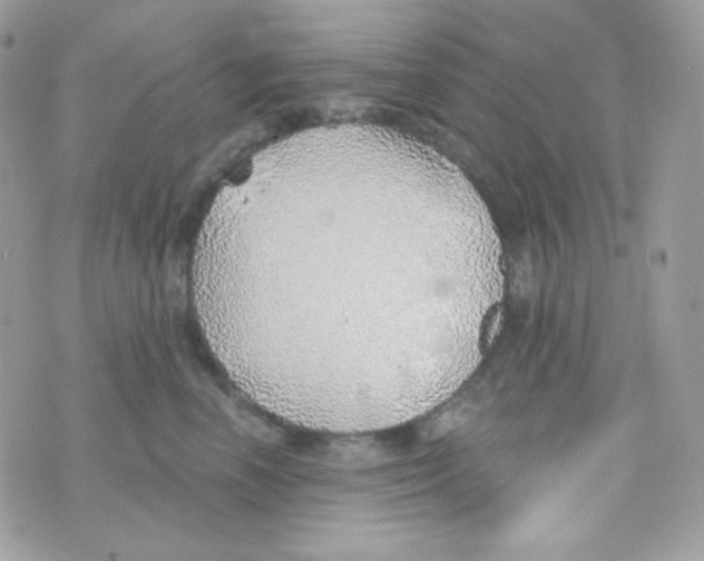 X0000074960666200609291914