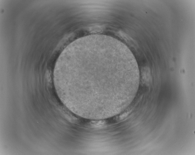 X0000074960667200609291914