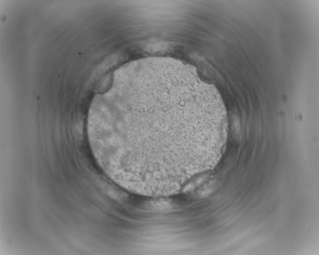 X0000074960668200609291914