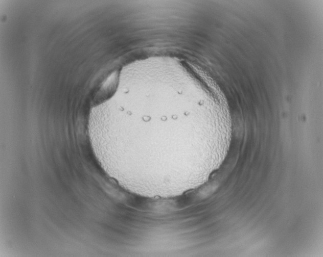 X0000074960670200609291914