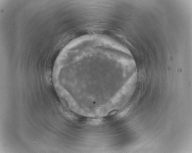 X0000074960671200609291914