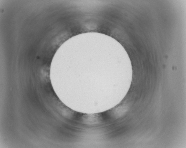 X0000074960672200609291914