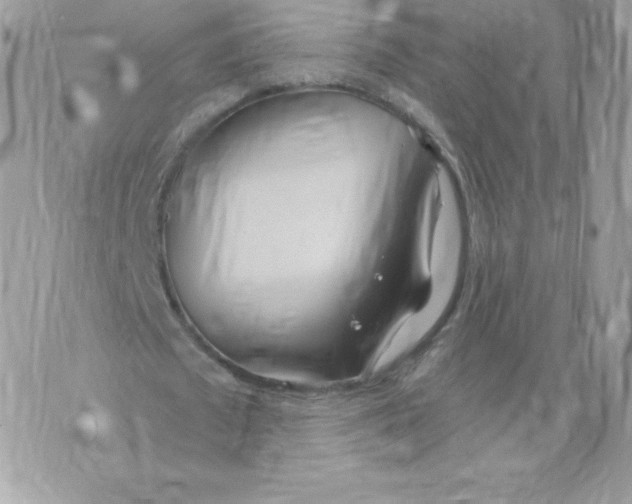 X0000074960673200609291913