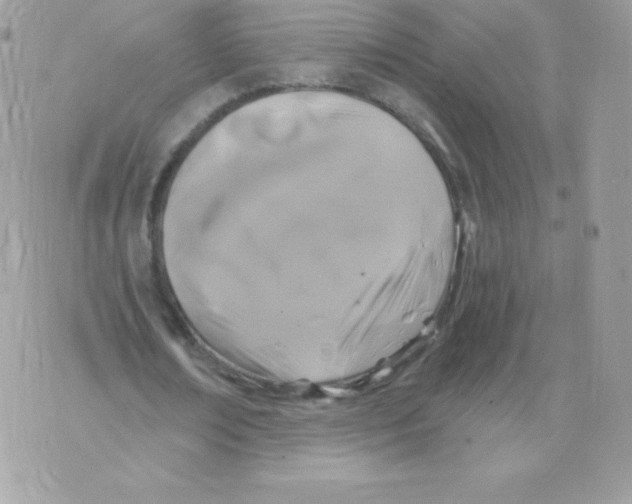 X0000074960674200609291913