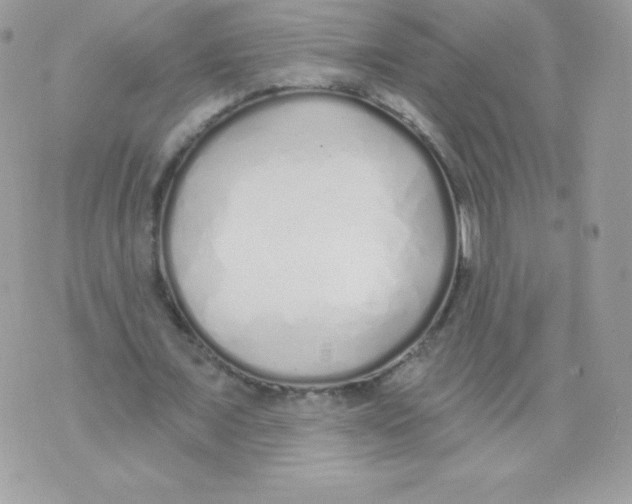 X0000074960675200609291913