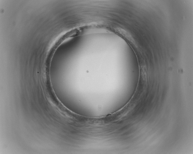 X0000074960676200609291913