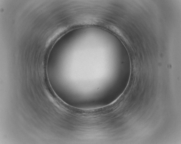 X0000074960677200609291913