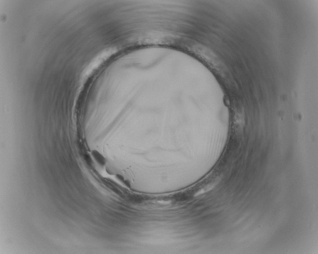 X0000074960678200609291913