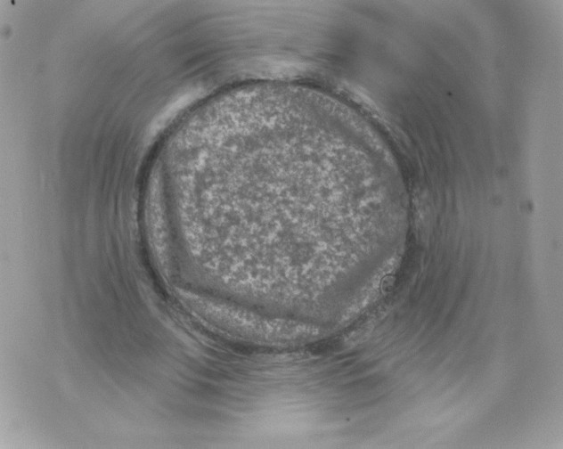 X0000074960679200609291913