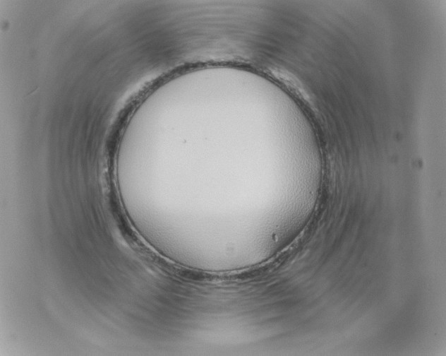 X0000074960680200609291913