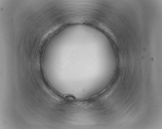 X0000074960681200609291913