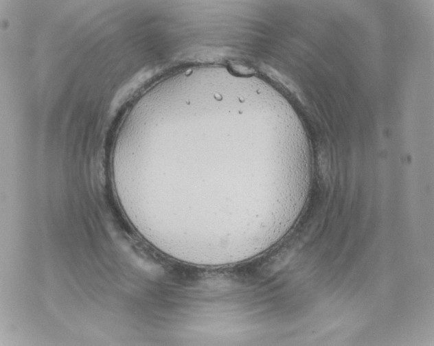 X0000074960682200609291913