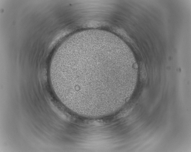 X0000074960683200609291913