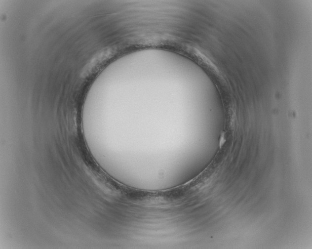 X0000074960685200609291913