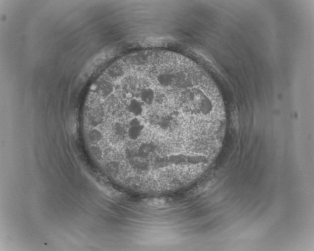 X0000074960687200609291913