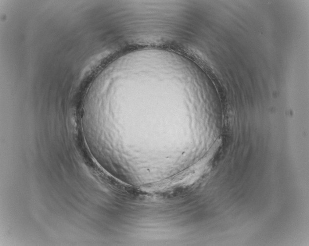 X0000074960688200609291913