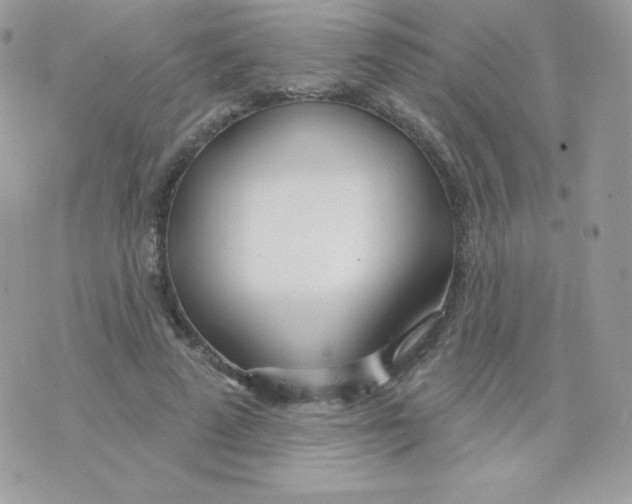 X0000074960689200609291913