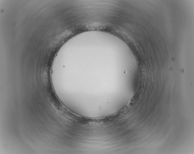 X0000074960690200609291913