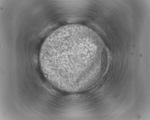 X0000074960691200609291913