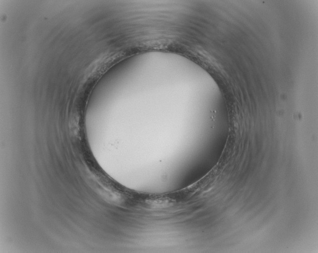 X0000074960693200609291913