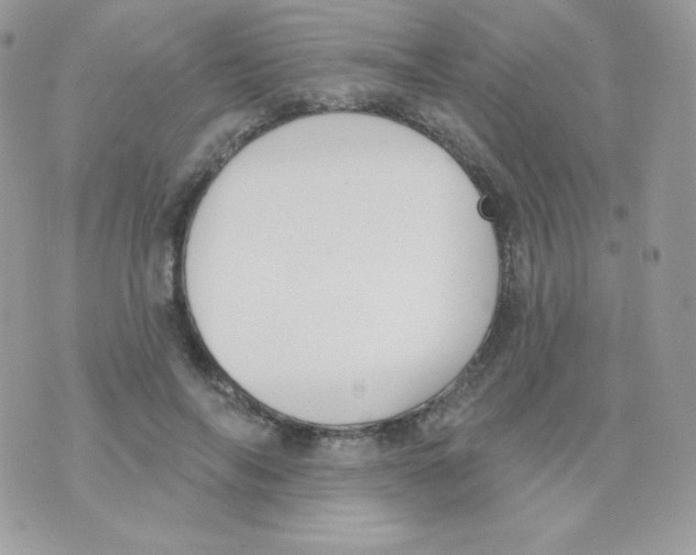 X0000074960694200609291913