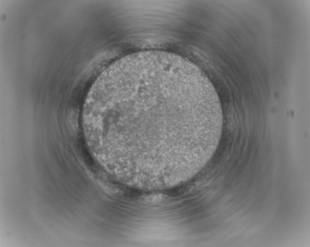 X0000074960695200609291913