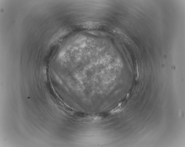 X0000074960696200609291913