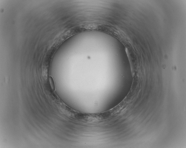 X0000074960697200609291913