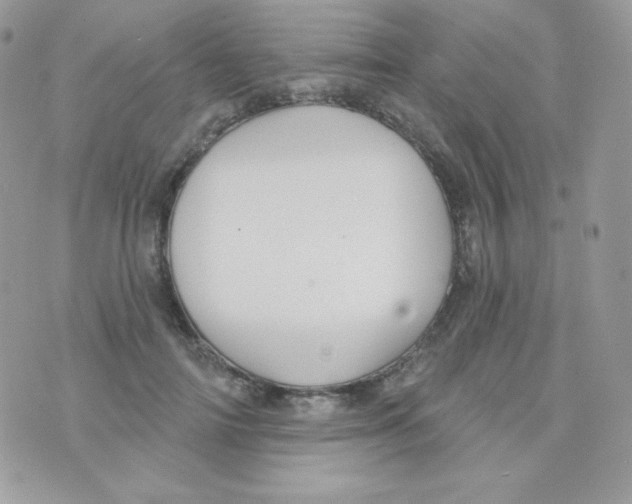 X0000074960698200609291913