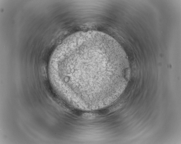 X0000074960699200609291913