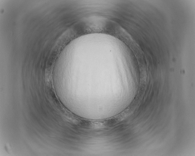 X0000074960701200609291913