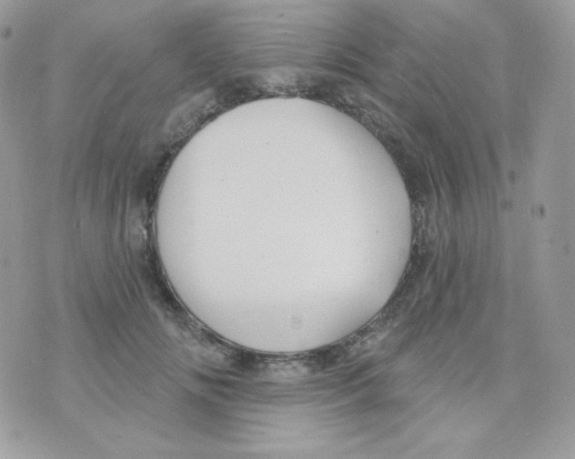 X0000074960702200609291913