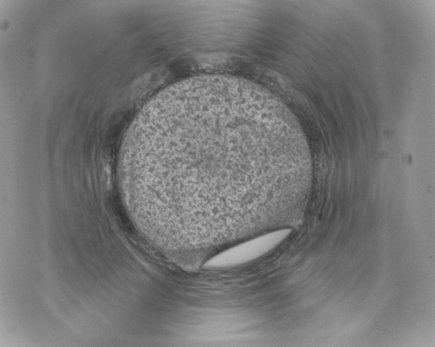 X0000074960703200609291913