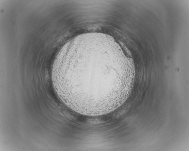 X0000074960704200609291913