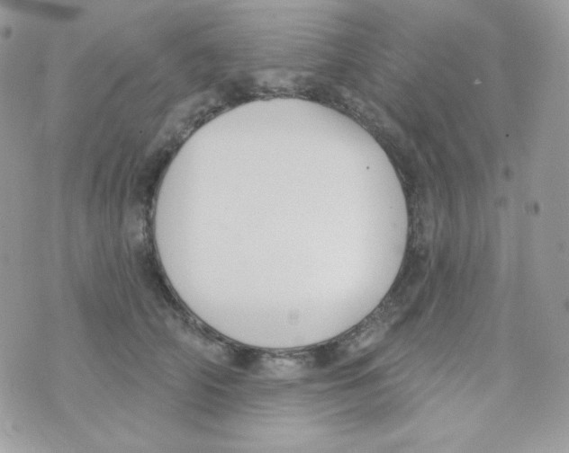 X0000074960706200609291913