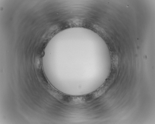 X0000074960709200609291913