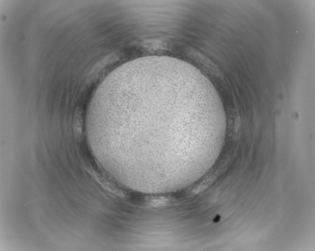 X0000074960710200609291913