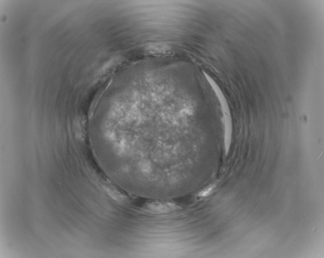 X0000074960712200609291913