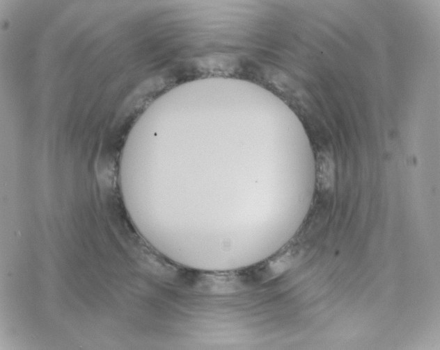 X0000074960713200609291913