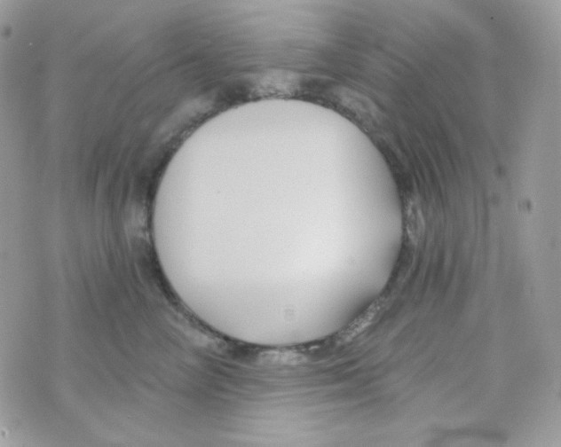 X0000074960714200609291913