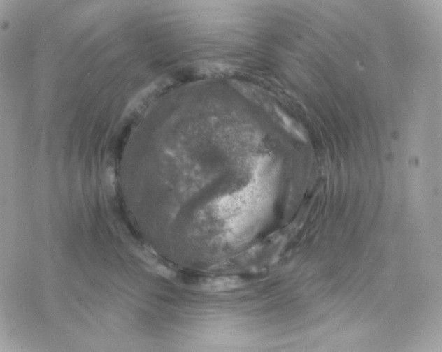 X0000074960716200609291913