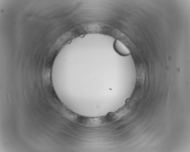 X0000074960717200609291913