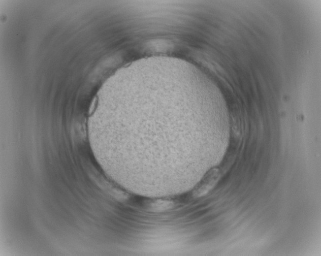 X0000074960718200609291913