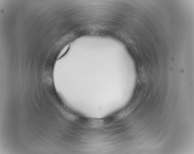 X0000074960719200609291913